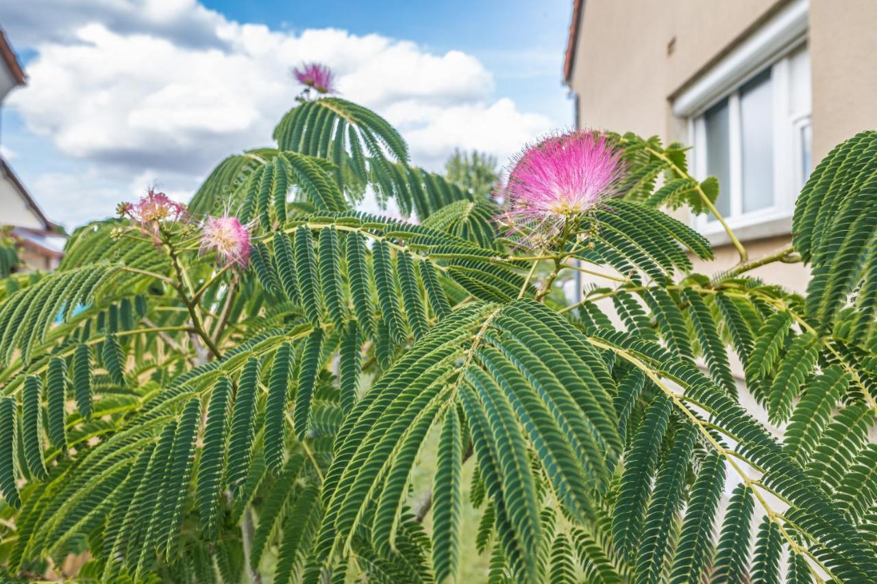 Saint-André-les-Vergers Le Flamboyant - Confort & Rarete - Premium מראה חיצוני תמונה